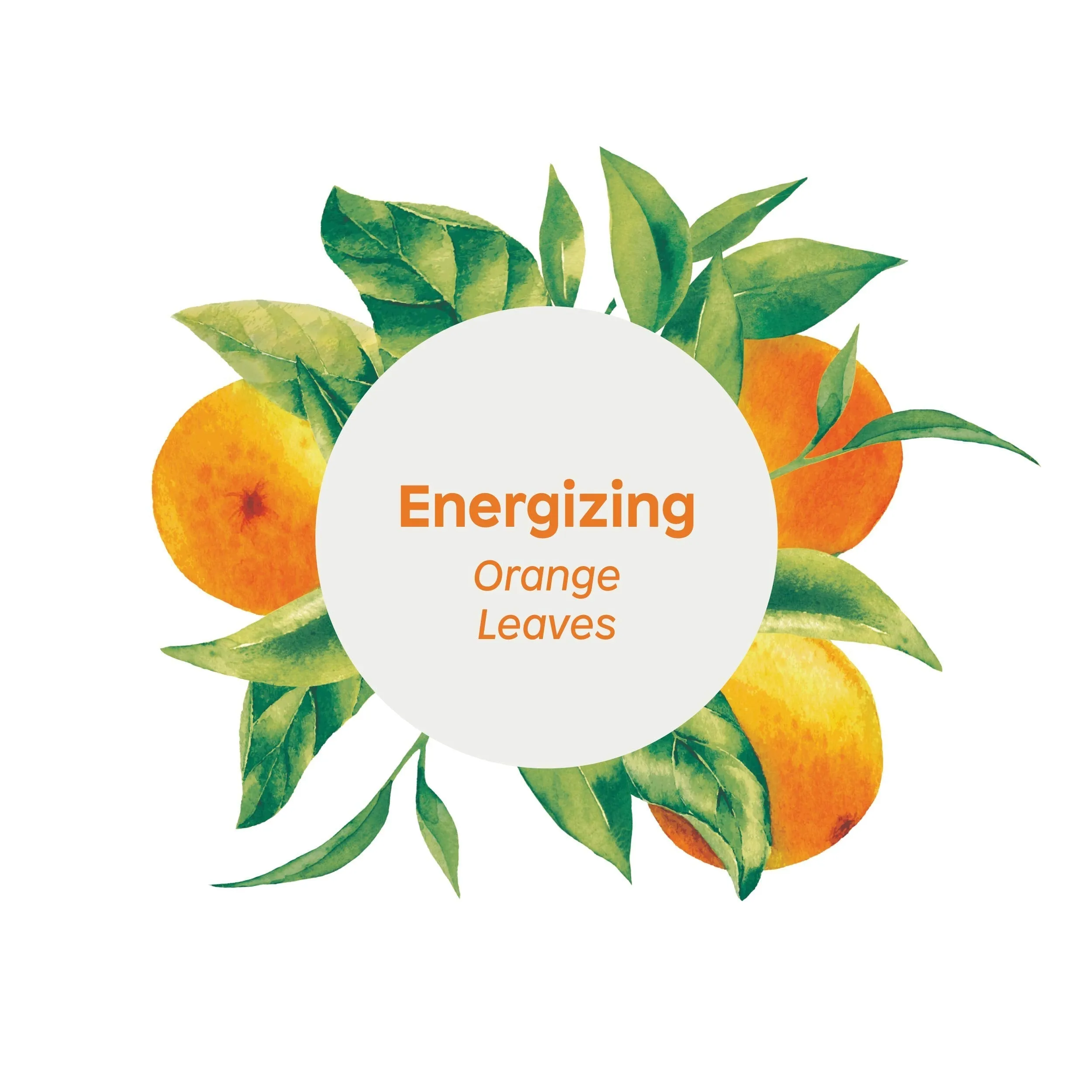 ATTITUDE Super Leaves, Hypoallergenic Energizing Body Cream, Orange Leaves, 8 Fluid Ounce (18198)