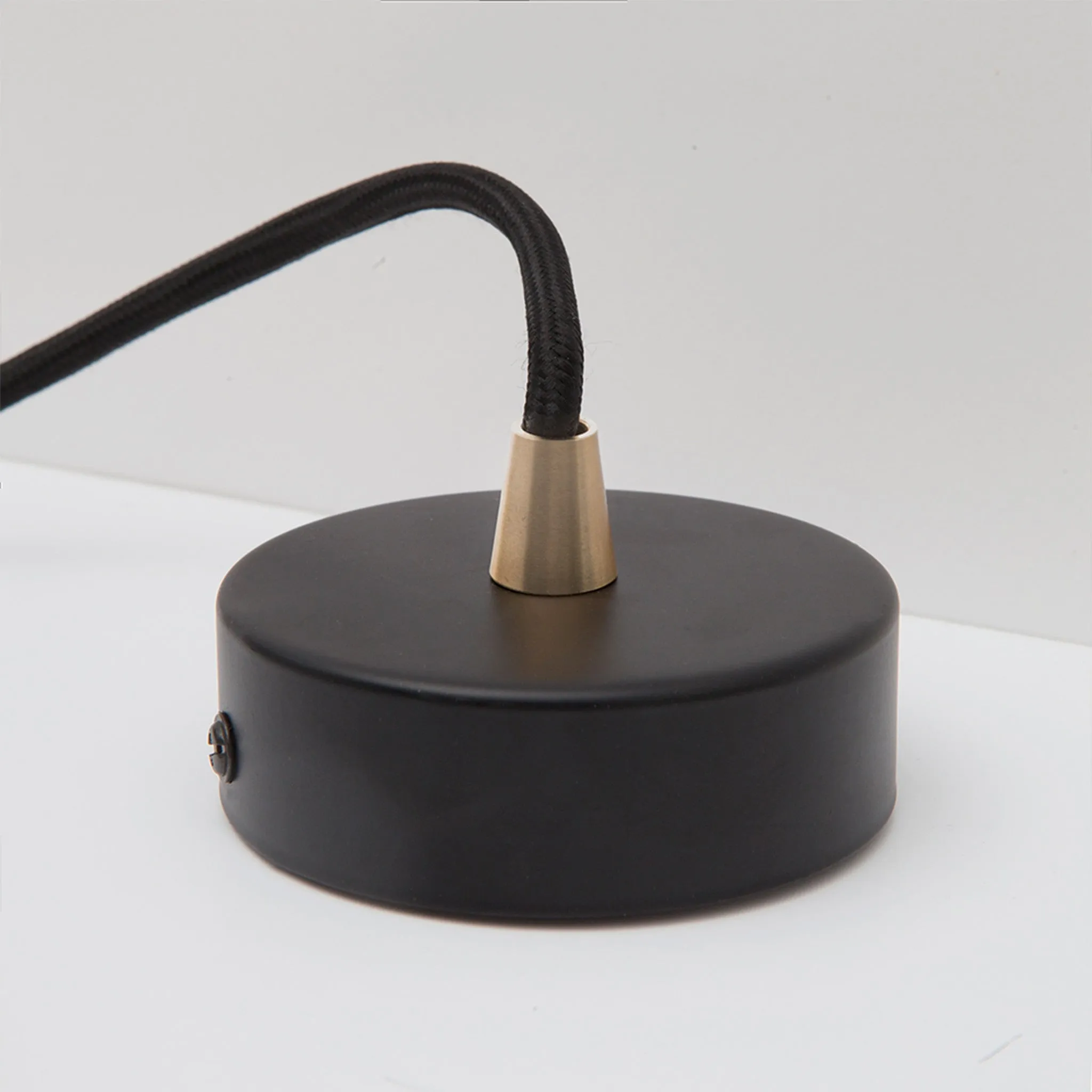 Elva Pendant Light Tinted in Brass