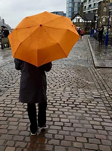 Lewis N. Clark Travel Umbrella: Windproof & Water Repellent with Mildew Resistant Fabric, Automatic