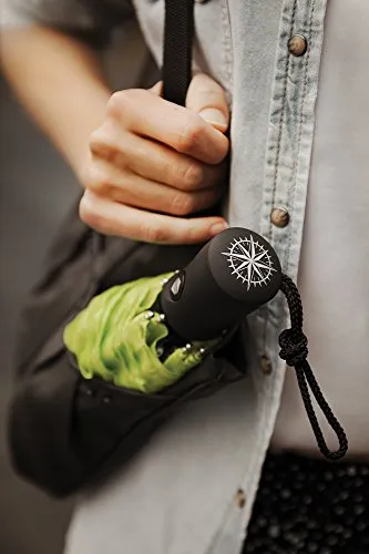 Lewis N. Clark Travel Umbrella: Windproof & Water Repellent with Mildew Resistant Fabric, Automatic