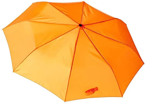 Lewis N. Clark Travel Umbrella: Windproof & Water Repellent with Mildew Resistant Fabric, Automatic