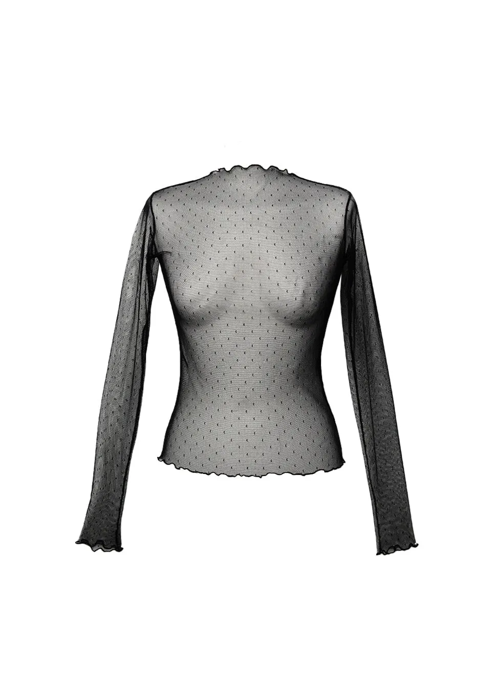Tasha Sheer Long Sleeve Top